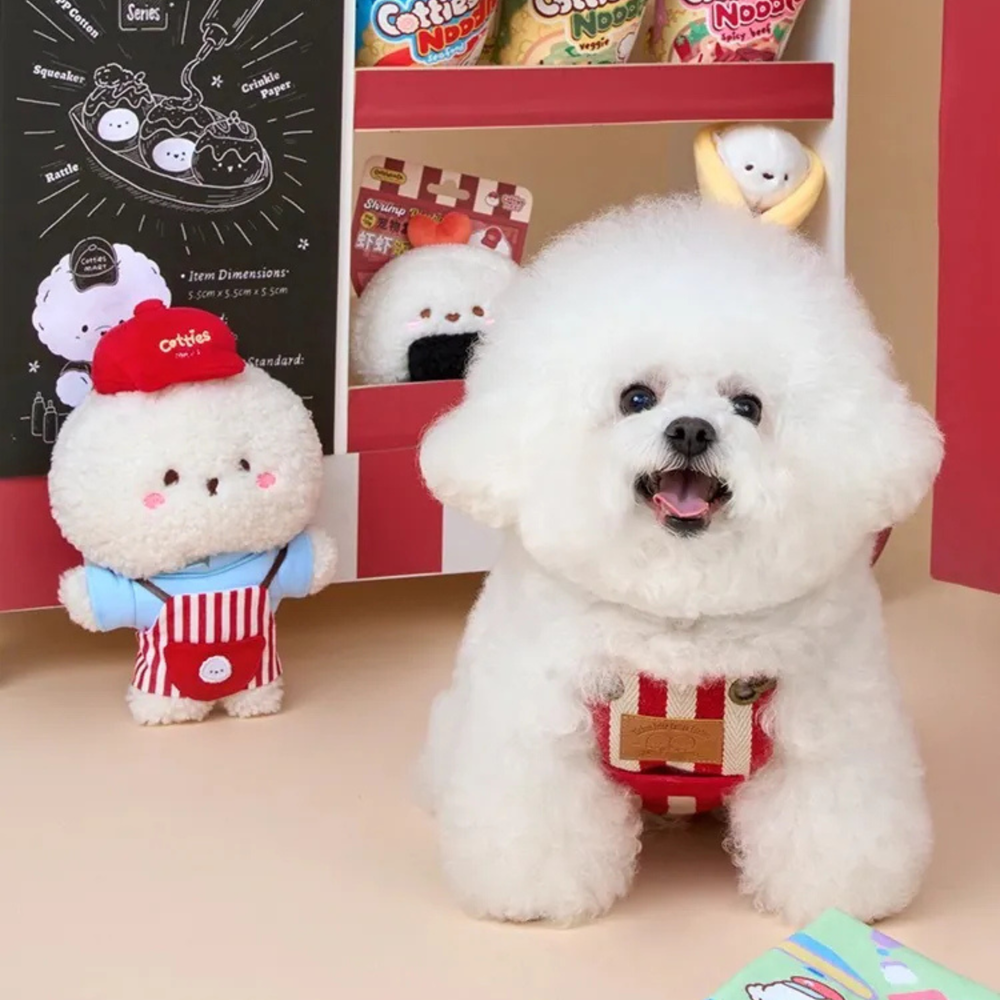 Bichon Frise Cotties Clerk George PET
