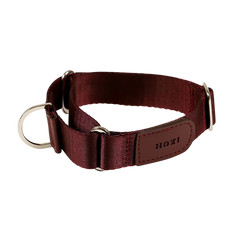HOZI Collar Martingale