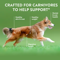 ZIWI Air-Dried Tripe & Lamb For Dogs | 風乾狗糧-草胃及羊肉配方