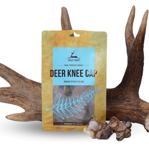 DEAR DEER Deer Knee Cap - PET