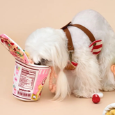 Bichon Frise Cotties Cup noddle PET