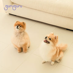 Slim Fit Pet Mat Folding Type - Guruguru - PET