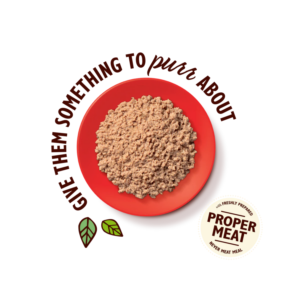 LILY’S KITCHEN Organic Beef Paté | 有機牛肉肉醬 LILY’S KITCHEN