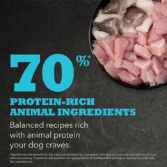 Acana Puppy Small Breed Recipe Dry Dog Food | 幼犬小型犬配方乾狗糧 ACANA