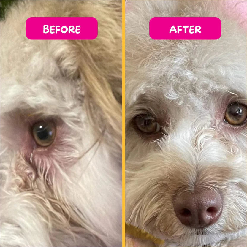PetEyez™ Eye Care Powder (Tear Stain Remover) - Chicken Flavor | 眼部護理粉 (去淚痕) - 雞肉味 PET