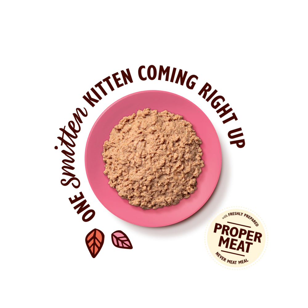 LILY’S KITCHEN Chicken Paté for Kittens | 幼貓雞肉肉醬 LILY’S KITCHEN