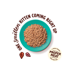 LILY’S KITCHEN Chicken with Cod Paté for Kittens