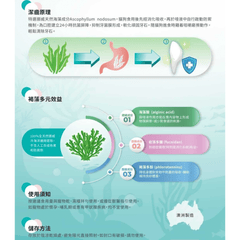 Papai Oral Fresh Dental Powder for Dogs & Cats - PET