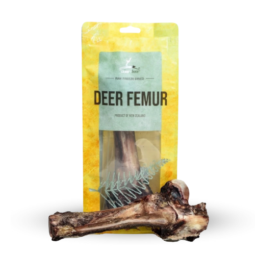 親愛的鹿股股骨