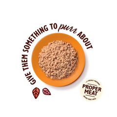 LILY’S KITCHEN Organic Chicken Paté