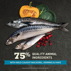 Acana Highest Protein Pacifica Dry Cat Food | 最高蛋白太平洋乾貓糧 ACANA