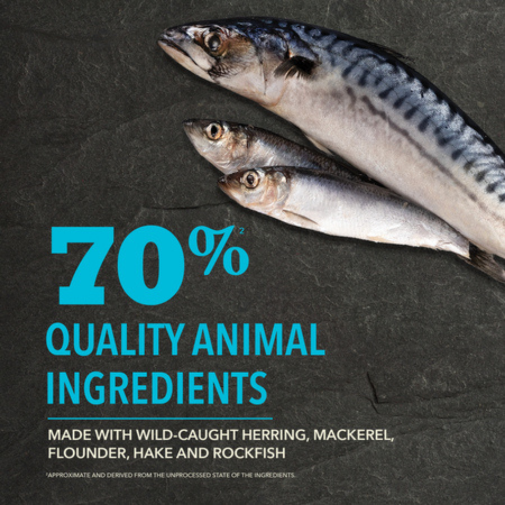Acana Highest Protein Pacifica Dry Dog Food | 最高蛋白太平洋乾狗糧 ACANA