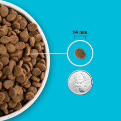 Acana Highest Protein Pacifica Dry Dog Food | 最高蛋白太平洋乾狗糧 ACANA