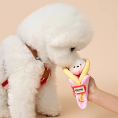 Bichon Frise Cotties Strawberry Crepe PET