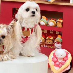 Bichon Frise Cotties Strawberry Crepe