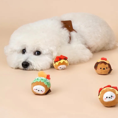 Bichon Frise Cotties Takoyaki