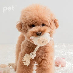 BITE ME BonBon Green Furry Friends Rope Tug Toy Bite Me