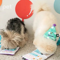 BITE ME Party Series - Happy Bday Card Dog Toy - PET
