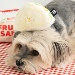 BITE ME Fruit Sandwich Toy Bite Me