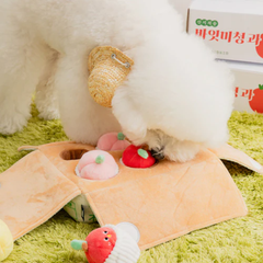 BITE ME Mixed Fruits Box Nosework Toy Bite Me