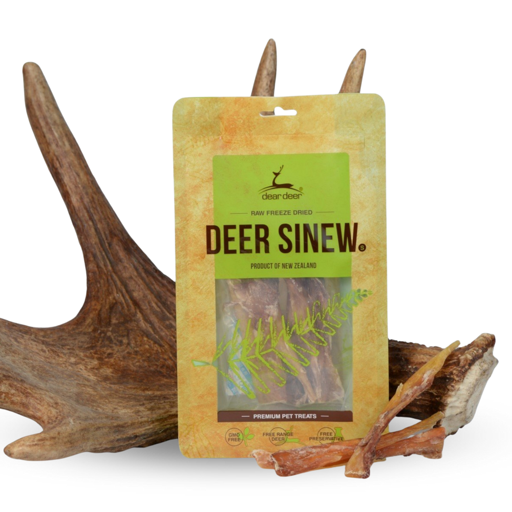 DEAR DEER Deer Sinew Tendon Strips (S) 75g | DEAR DEER 鹿筋條 75g PET
