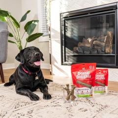 Stella & Chewy's Dental Delights - Large Treats x 17 (大 17支袋裝 大型犬) Stella & Chewy's