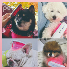 Doocamedi Cellcare Drama: LED Red Light Therapy for Joint Pain Relief DOOCAMEDI