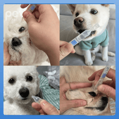 Doocamedi Ultimate Cat Eye Care Bundle - PET