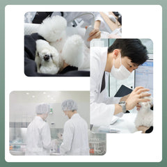 Doocamedi Cellcare Shampoo 幹細胞多合一沖涼洗毛液 DOOCAMEDI