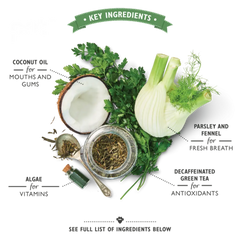 LILY'S KITCHEN Woofbrush Dental Chew | 天然犬用潔齒棒 LILY’S KITCHEN