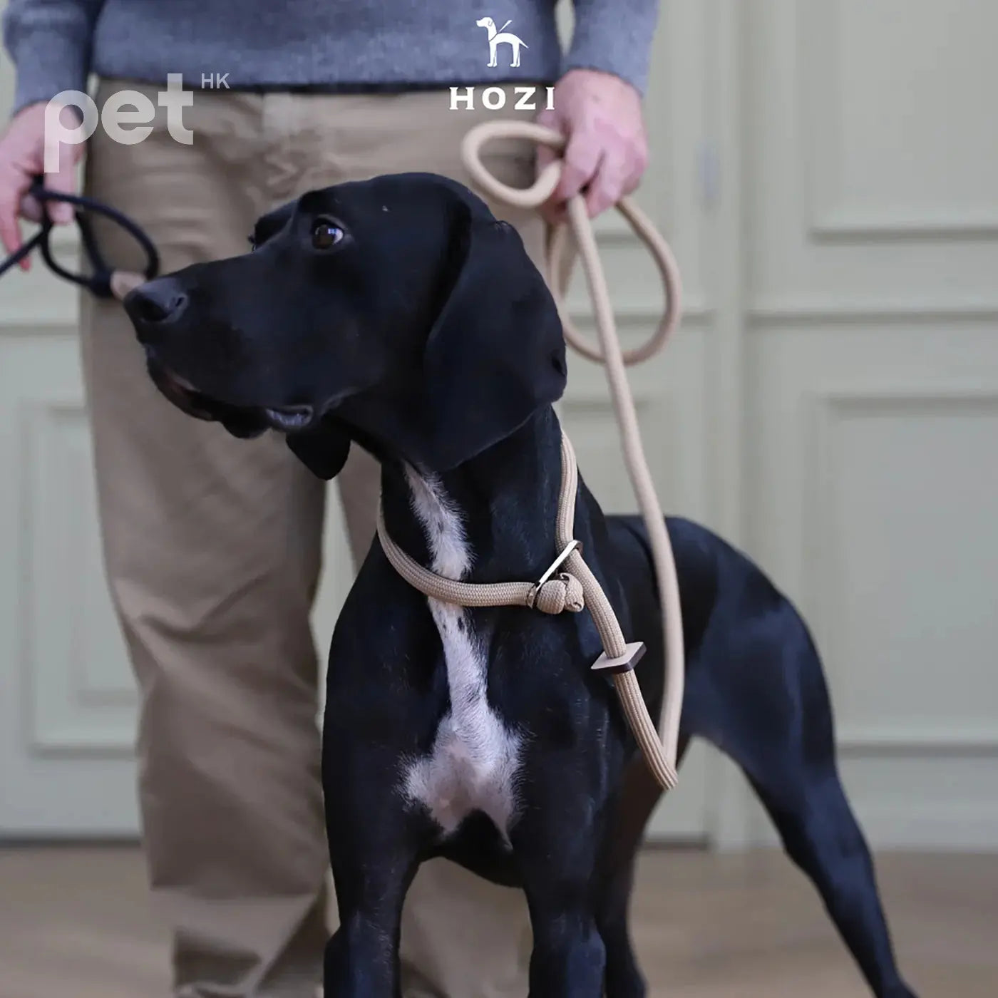 Slip Leash - Black / Beige / Orange / Mustard / Navy / Pink HOZI Slip Leash - Black / Beige / Orange / Mustard / Navy / Pink HOZI