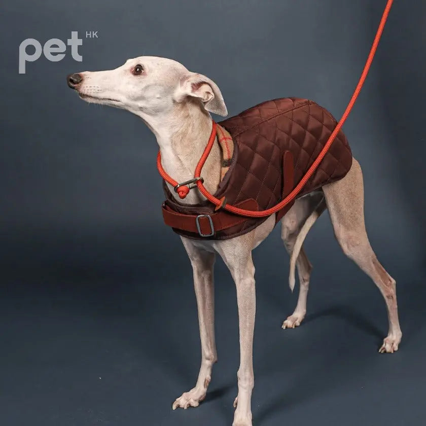 Slip Leash - Black / Beige / Orange / Mustard / Navy / Pink HOZI Slip Leash - Black / Beige / Orange / Mustard / Navy / Pink HOZI