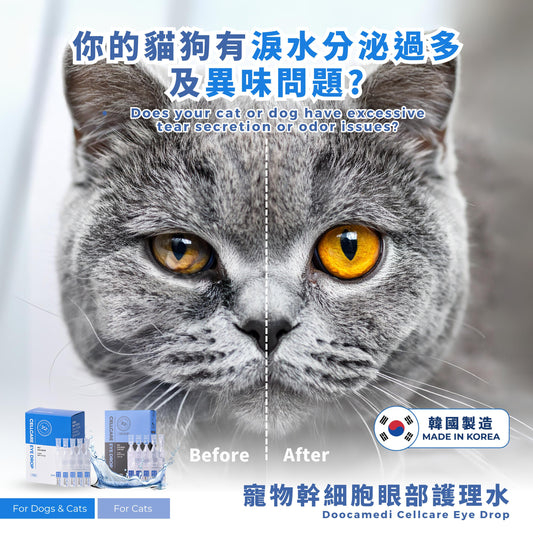 Doocamedi眼藥水：必備貓用眼藥水，守護貓眼健康的寵物保健品