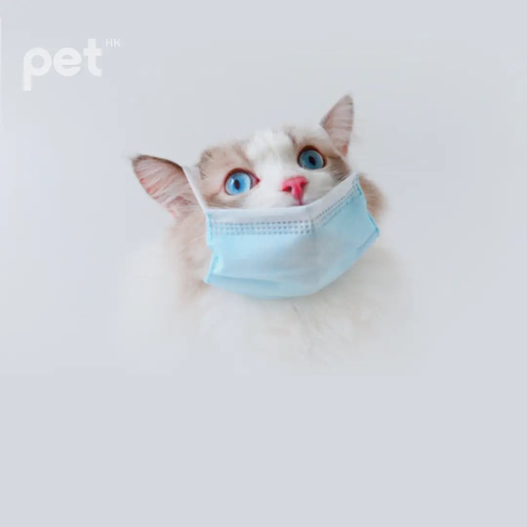 貓貓健康保健 pet hk mid levels 寵物保健品. 貓狗美容用品