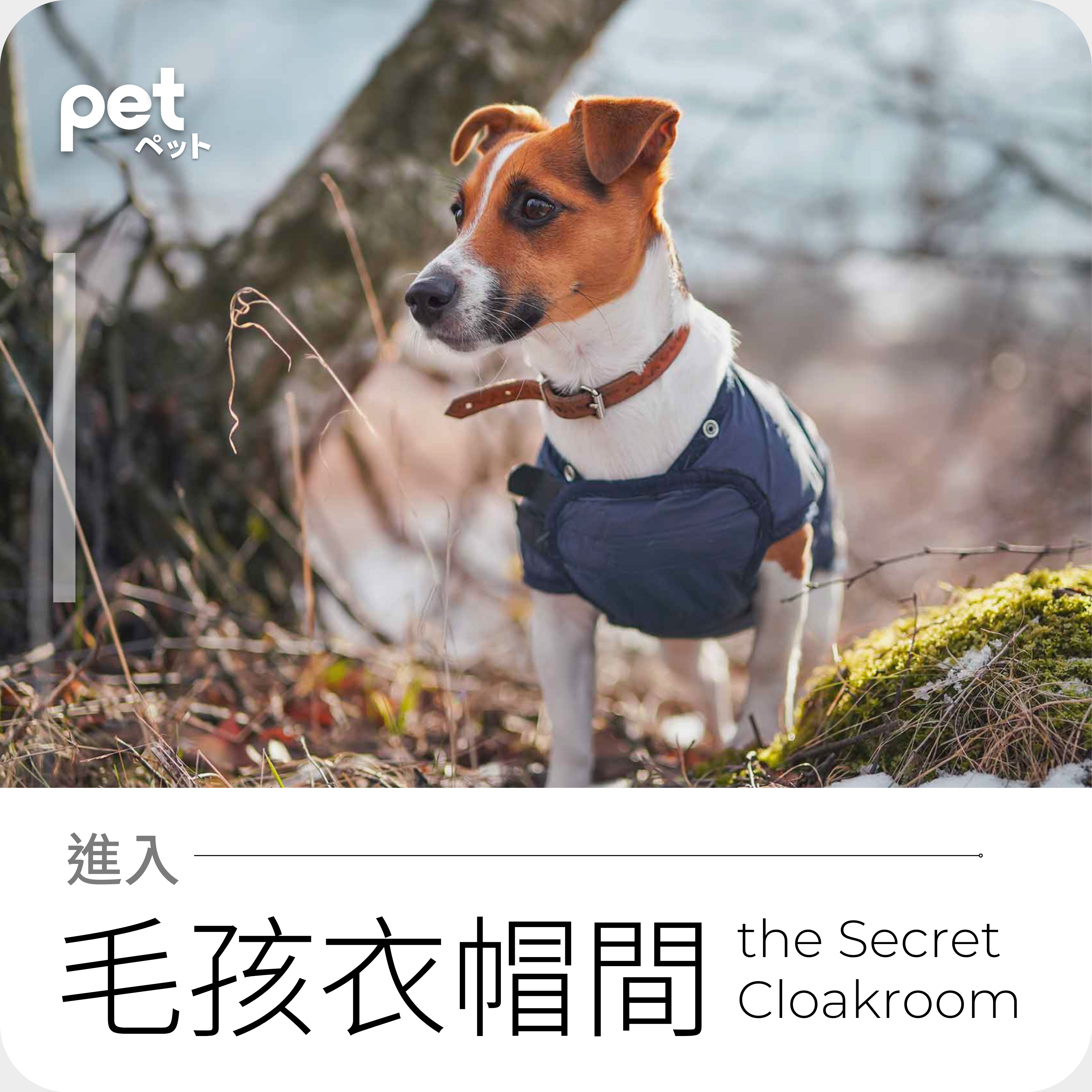 毛孩衣帽間 PET