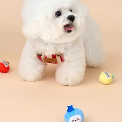 Bichon Frise Cotties Fruit Party toys