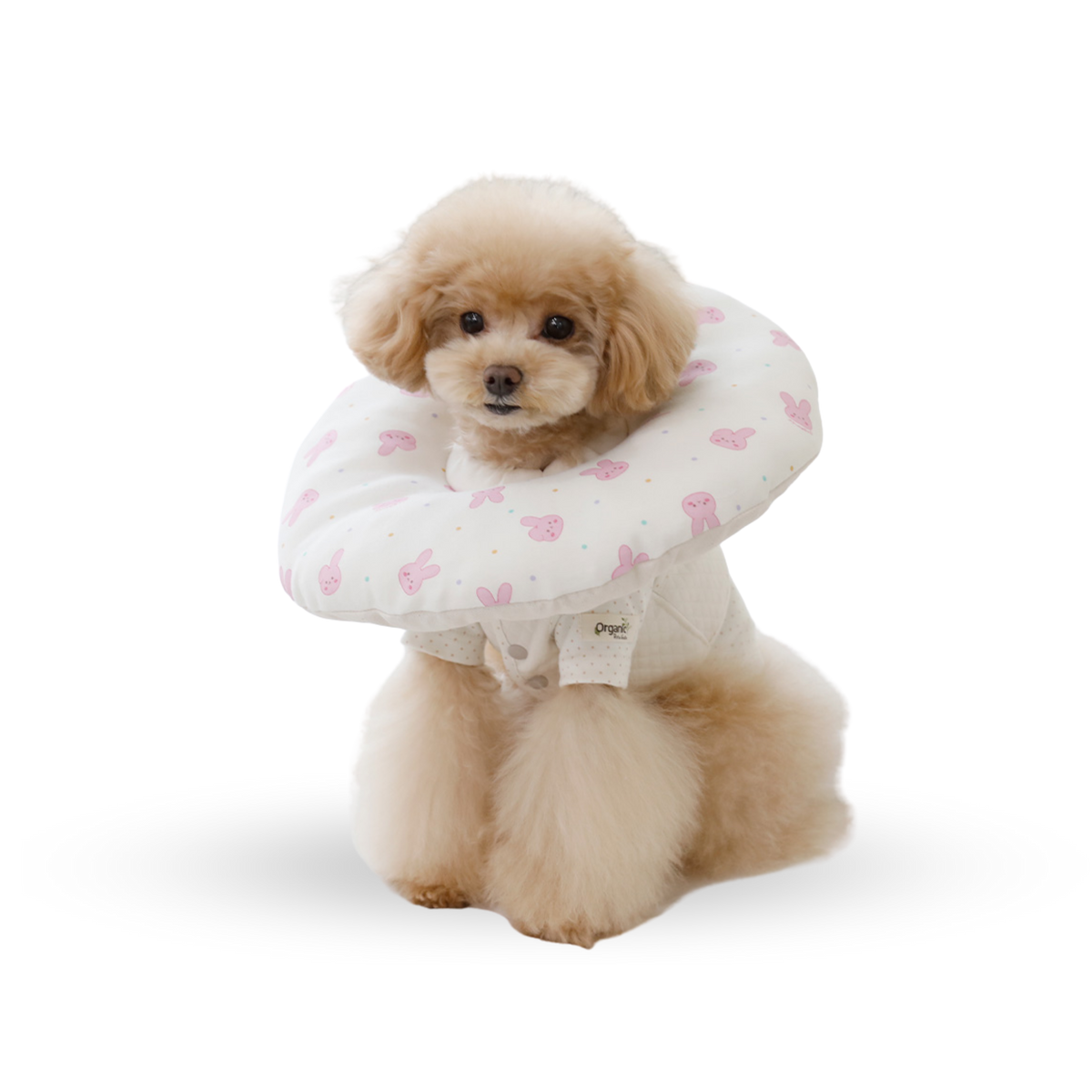 RITOGATO Pet Collar Organic Cushion Neck Collar for Pets