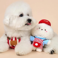 Bichon Frise Cotties Clerk George
