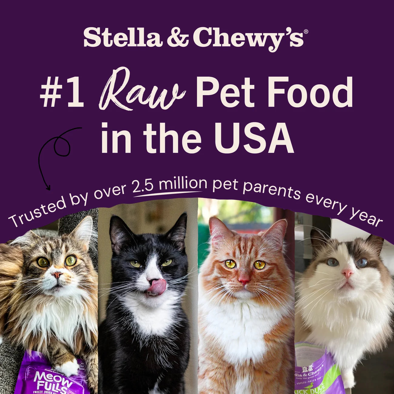 Stella & Chewy's Freeze-Dried Raw Cat Food - Yummy Lickin' Salmon & Chicken 舔舌之選 (三文魚及雞肉配方) Stella & Chewy's