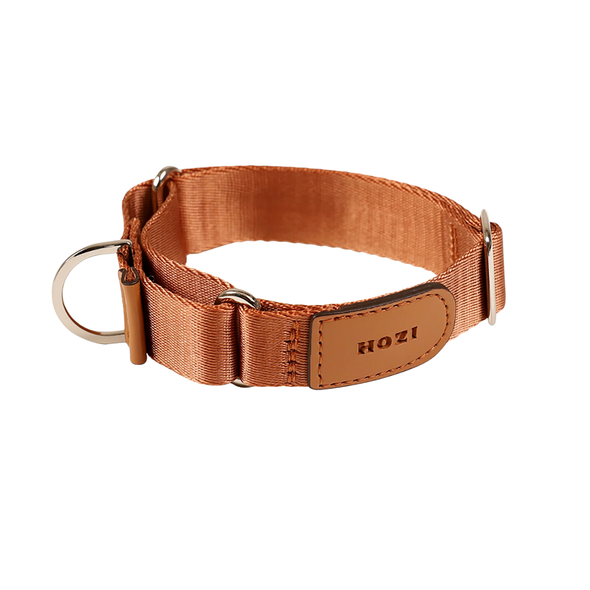 HOZI Collar Martingale
