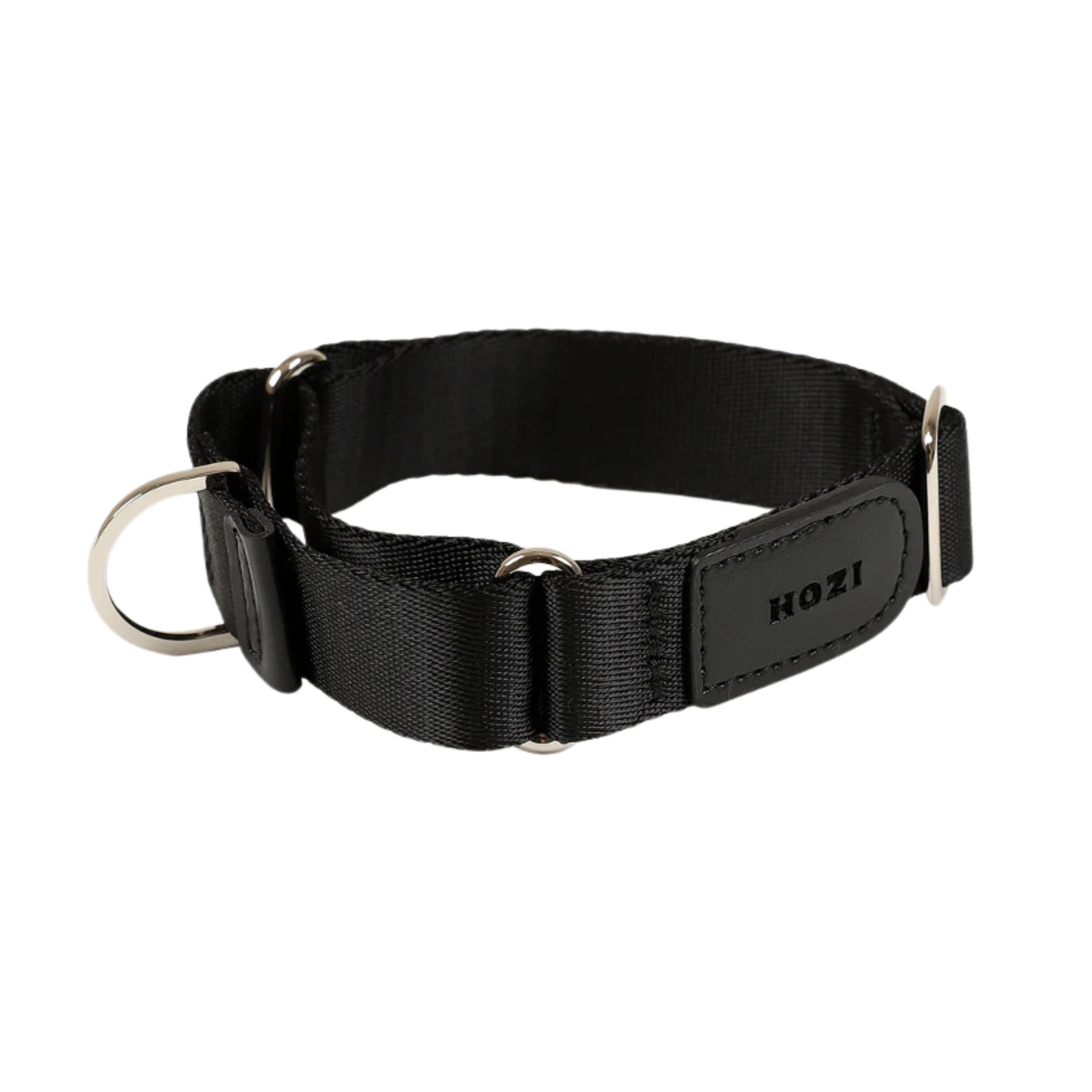 HOZI Collar Martingale