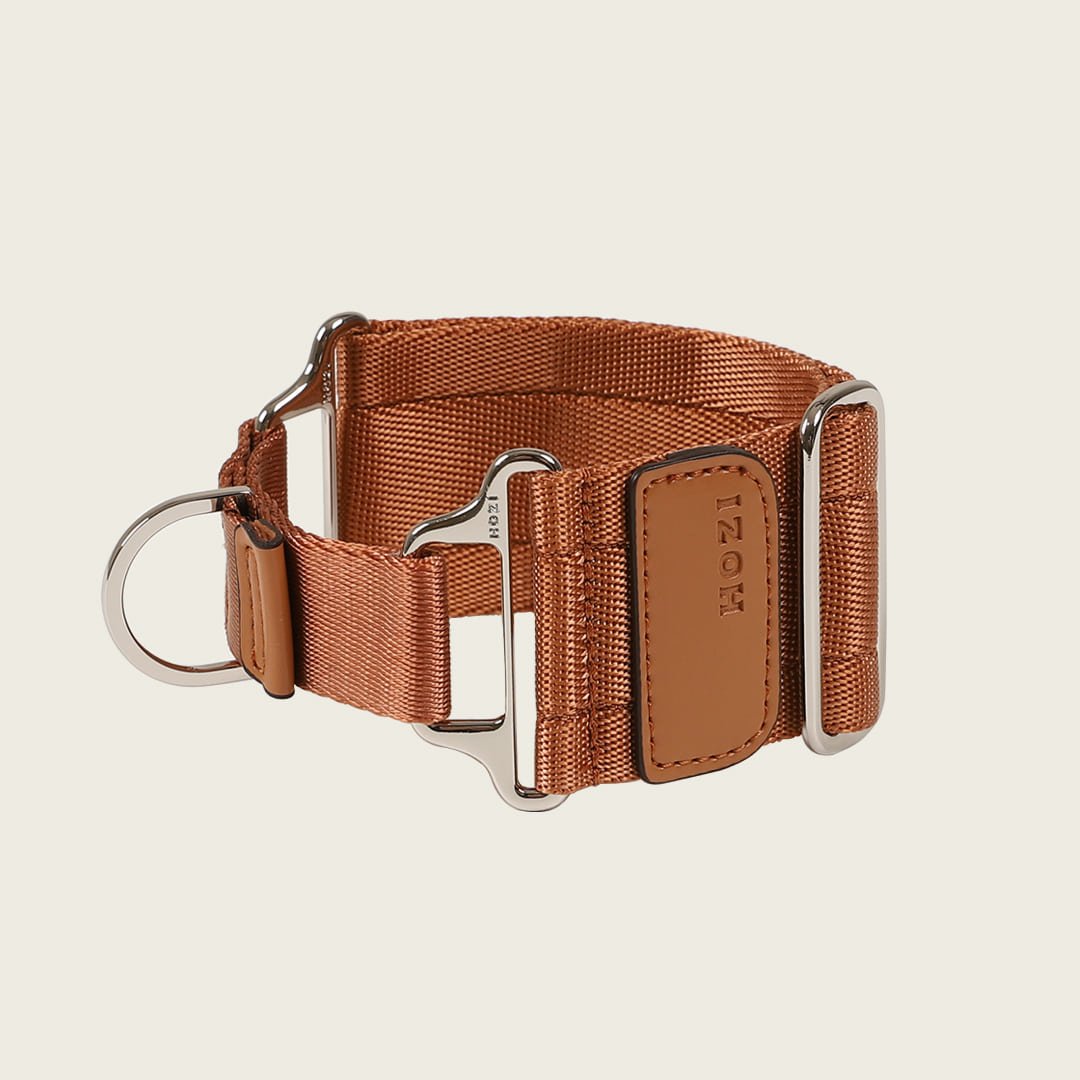 HOZI Collar Wide Martingales - PET