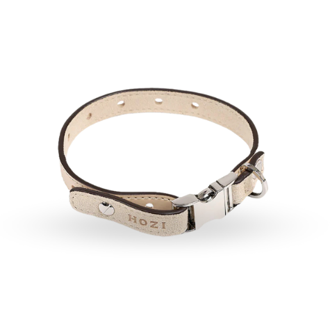 Saddle Strap Collar - 舒適耐用的犬隻牽繩，四種顏色與尺寸選擇，完美適合每種犬種