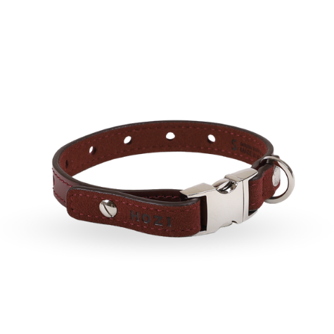 Saddle Strap Collar - 舒適耐用的犬隻牽繩，四種顏色與尺寸選擇，完美適合每種犬種