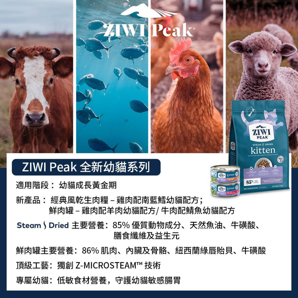 ZIWI Chicken with Southern Blue Whiting Recipe For Kitten Steam & Dried | 幼貓糧 雞肉配南藍鱈食譜 Ziwi