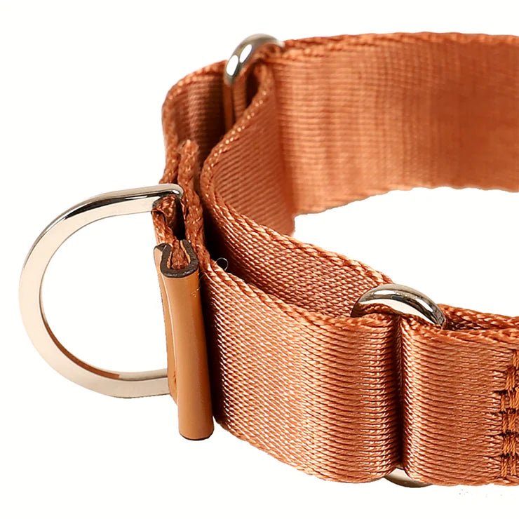 HOZI Collar Martingale - PET