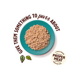 LILY’S KITCHEN Organic Chicken with Fish Paté