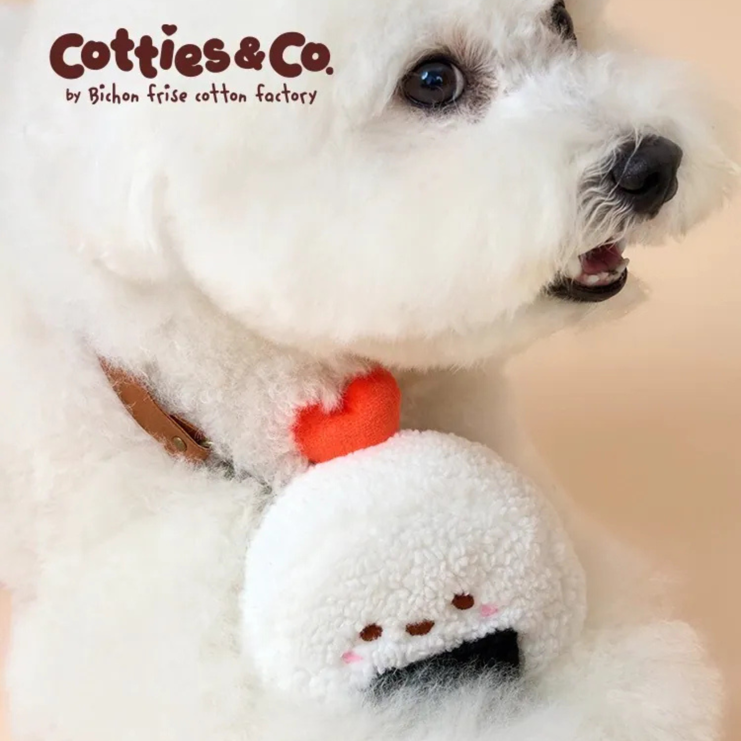 Bichon Frise Cotties Rice Ball