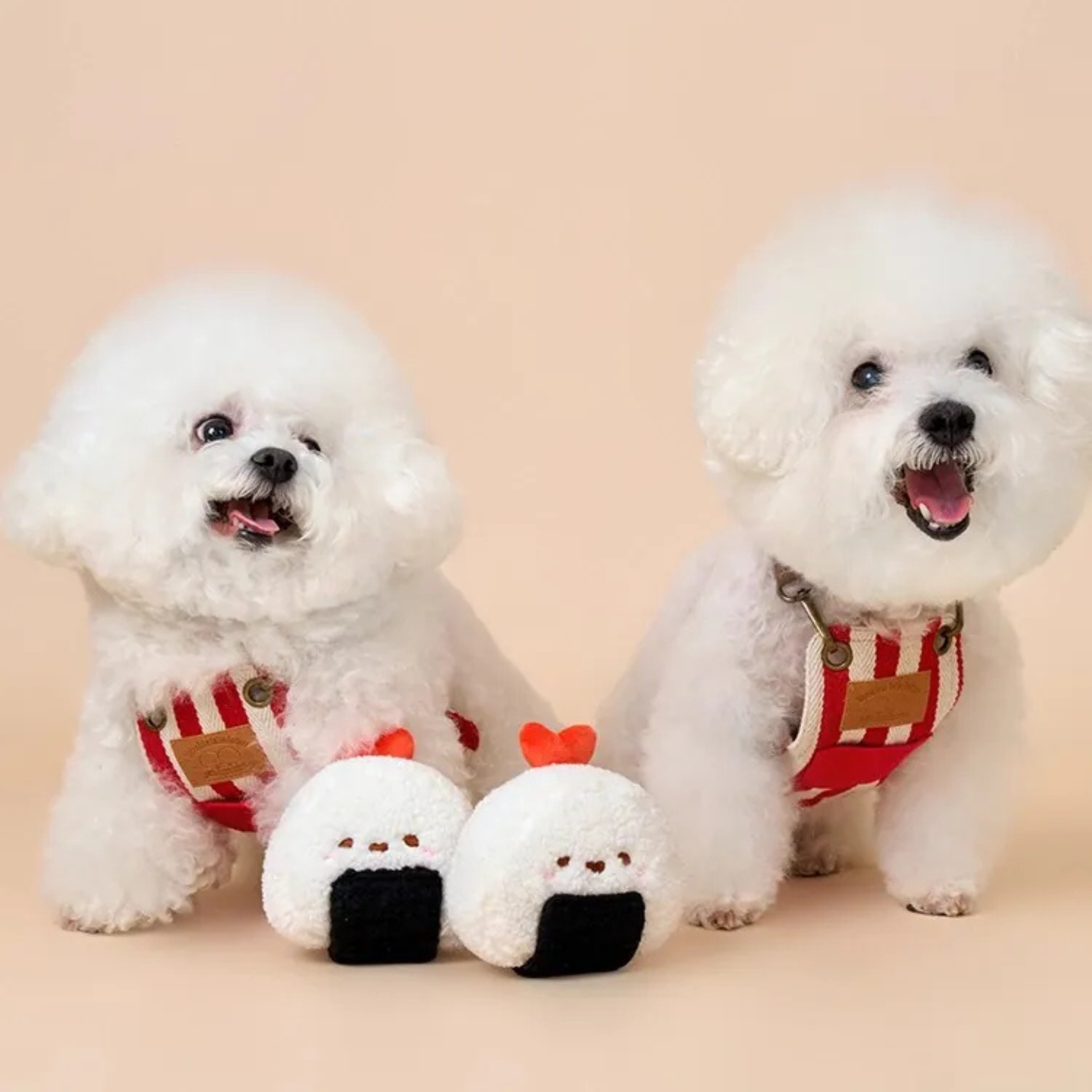 Bichon Frise Cotties Rice Ball