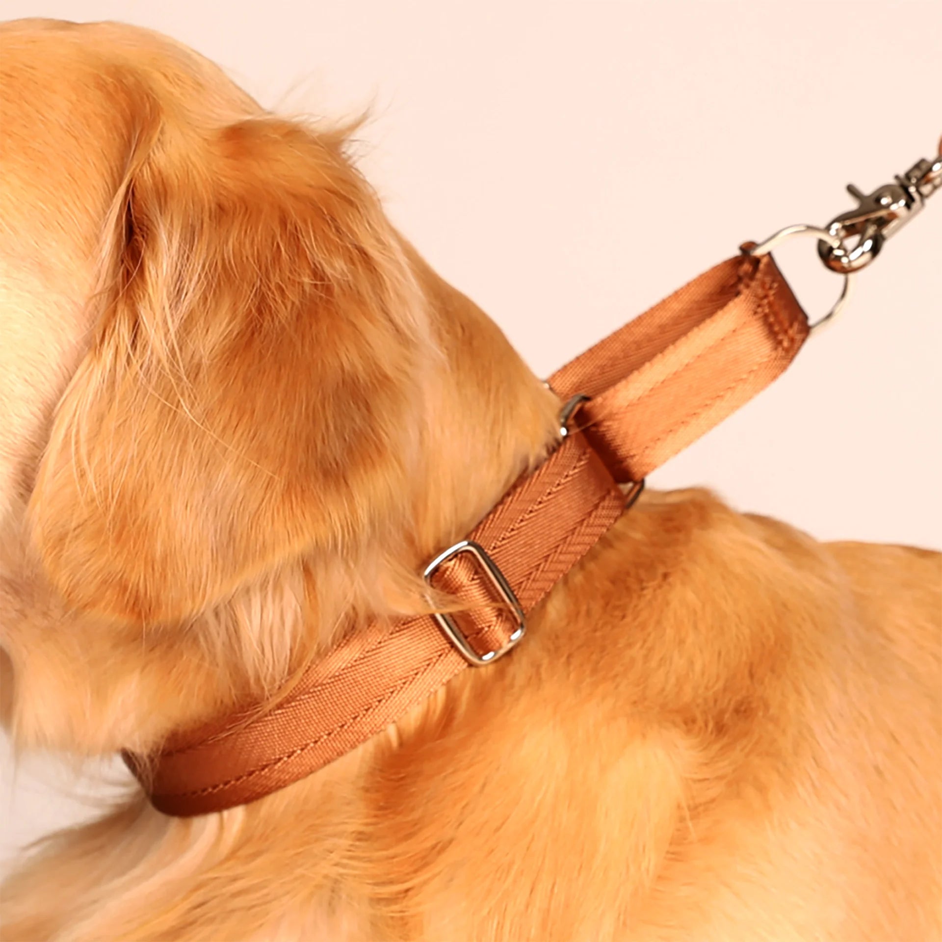 HOZI Collar Martingale - PET